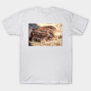 Wild Boar Piglets T-Shirt